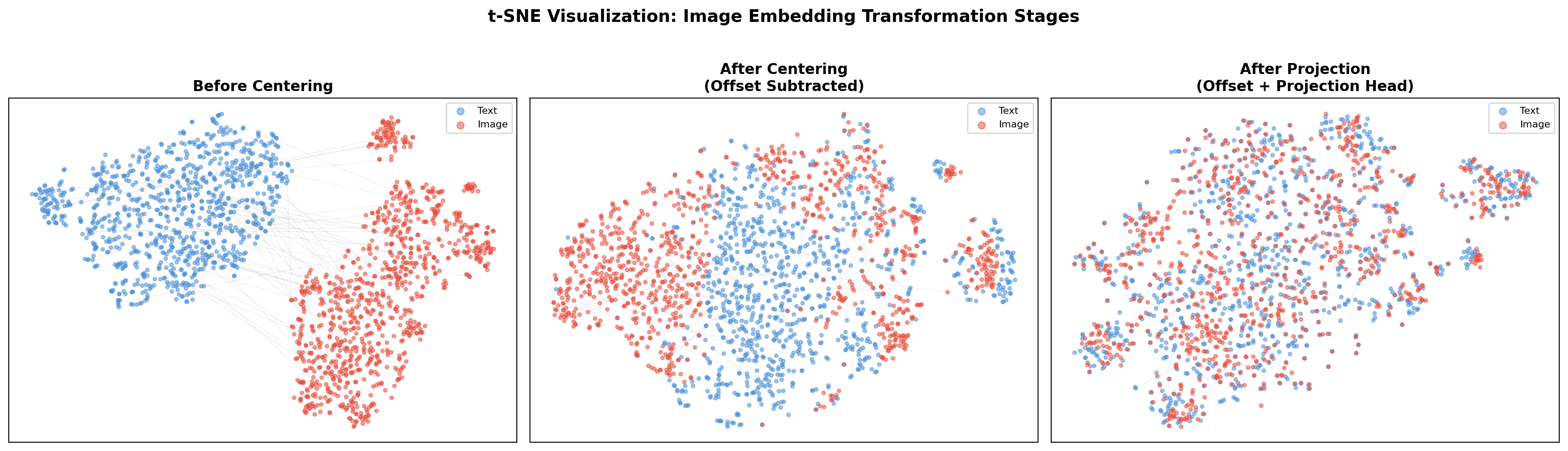 t-SNE Image